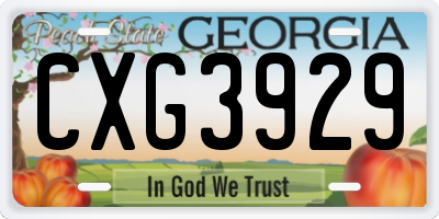 GA license plate CXG3929