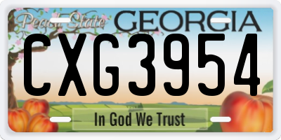 GA license plate CXG3954