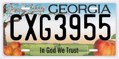 GA license plate CXG3955