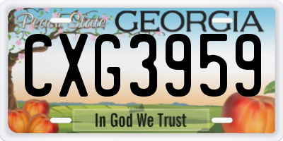 GA license plate CXG3959