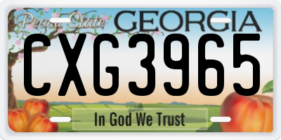 GA license plate CXG3965