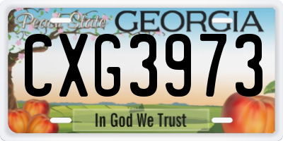 GA license plate CXG3973
