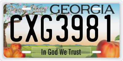 GA license plate CXG3981