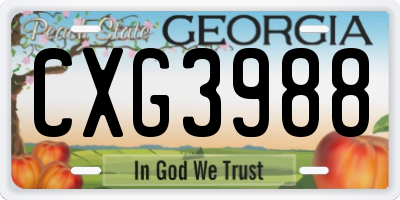 GA license plate CXG3988
