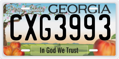 GA license plate CXG3993