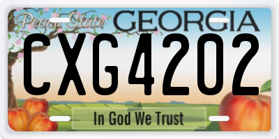 GA license plate CXG4202