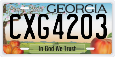 GA license plate CXG4203
