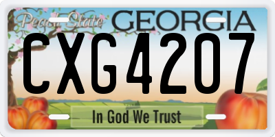 GA license plate CXG4207