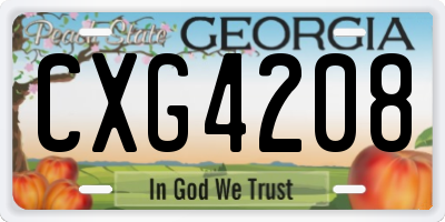 GA license plate CXG4208