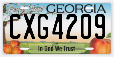 GA license plate CXG4209