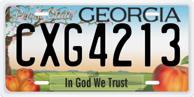 GA license plate CXG4213