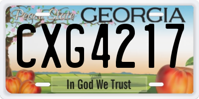 GA license plate CXG4217
