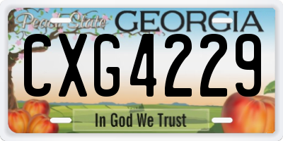 GA license plate CXG4229