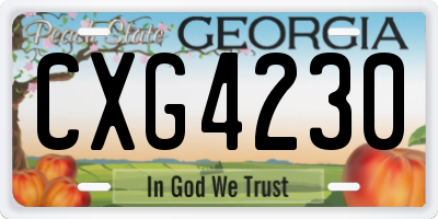 GA license plate CXG4230