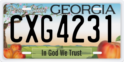 GA license plate CXG4231