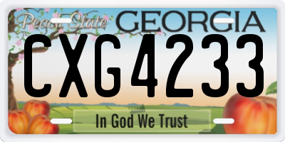 GA license plate CXG4233