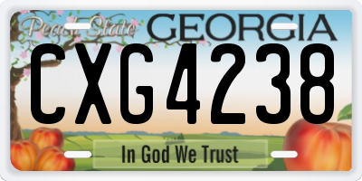 GA license plate CXG4238