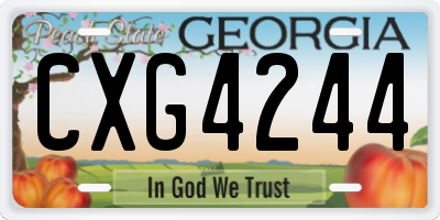 GA license plate CXG4244