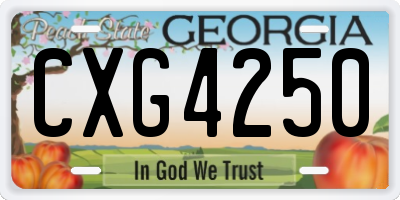 GA license plate CXG4250
