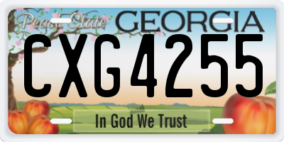 GA license plate CXG4255