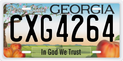 GA license plate CXG4264