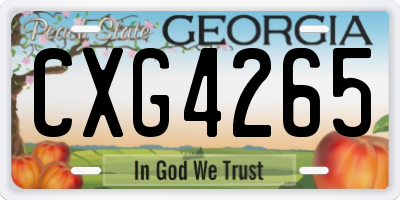 GA license plate CXG4265