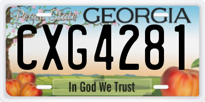 GA license plate CXG4281