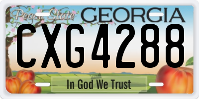 GA license plate CXG4288