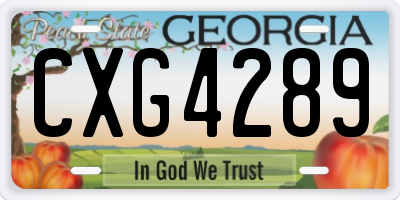 GA license plate CXG4289