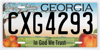 GA license plate CXG4293