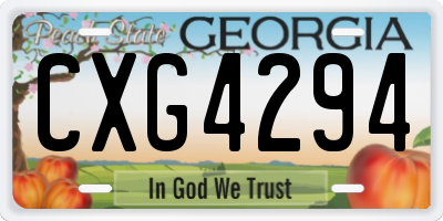 GA license plate CXG4294