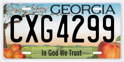 GA license plate CXG4299