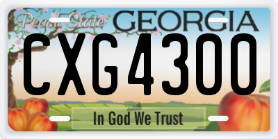 GA license plate CXG4300
