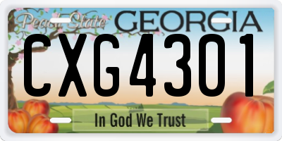 GA license plate CXG4301