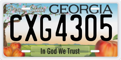 GA license plate CXG4305