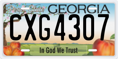 GA license plate CXG4307
