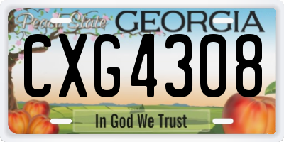 GA license plate CXG4308