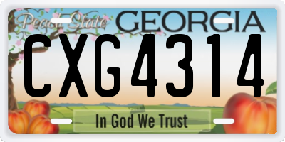GA license plate CXG4314