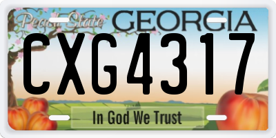 GA license plate CXG4317