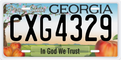 GA license plate CXG4329