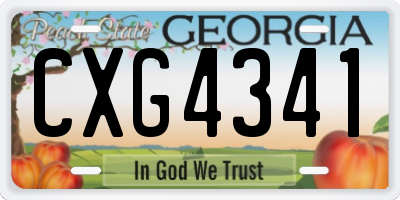 GA license plate CXG4341