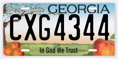 GA license plate CXG4344