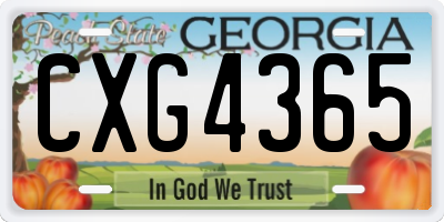 GA license plate CXG4365