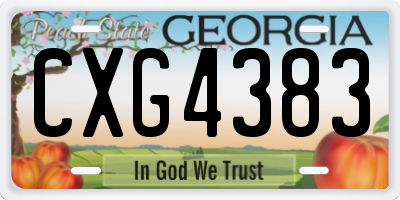 GA license plate CXG4383