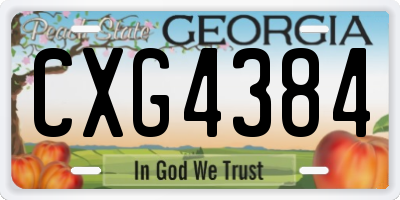 GA license plate CXG4384