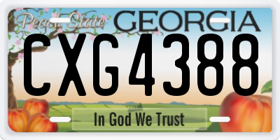 GA license plate CXG4388