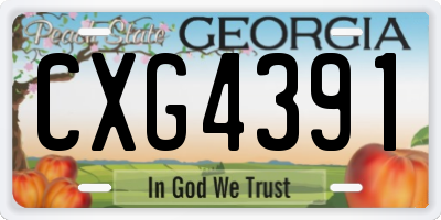 GA license plate CXG4391