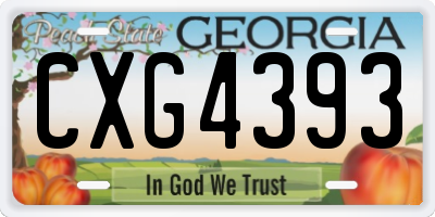 GA license plate CXG4393
