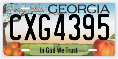 GA license plate CXG4395