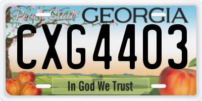 GA license plate CXG4403